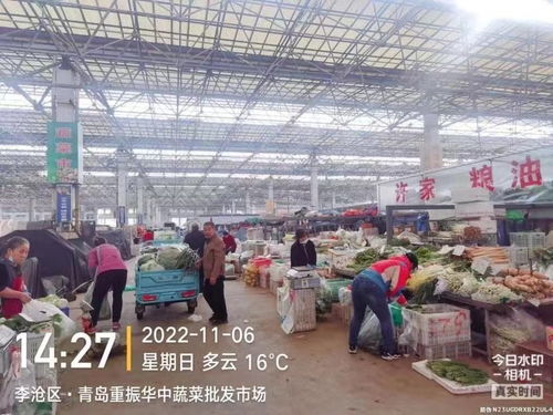 青岛5大批发市场日供肉菜4000吨,零售均价持续下降 菜篮子 商品供应充足